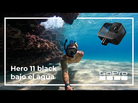 Así FUNCIONA la GOPRO Hero 11 (bajo el agua) 🤿🐠🦐 hqdefault